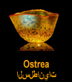 Ostrea Bowls